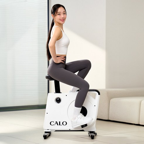 공간 효율성과 운동 효과를 겸비한 홈트레이닝 파트너, 칼로 리바이크