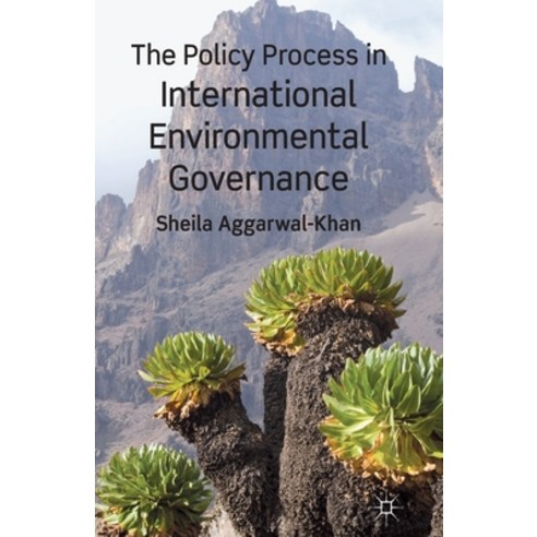 The Policy Process in International Environmental Governance Paperback, Palgrave MacMillan