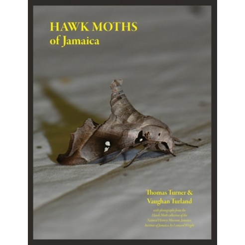 (영문도서) Hawk Moths of Jamaica Paperback, FriesenPress, English, 9781039146082