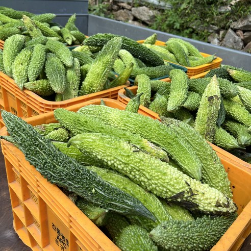 해남에서 온 고소한 맛, 건조한 식감의 풍부함을 만끽해보세요