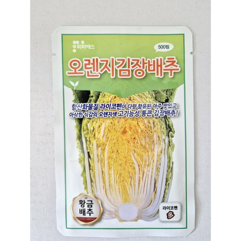 김장배추 씨앗 항산화물질 라이코펜 통큰 맛있는 오렌지김장배추 500립