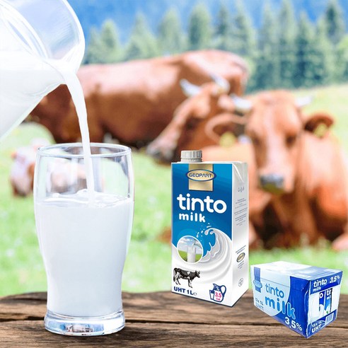 틴토 밀크 폴란드 수입멸균우유 1L x 12팩 유지방 3.5% 12개입