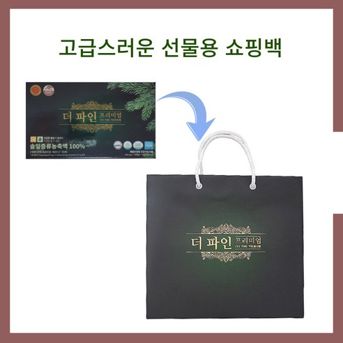 솔잎의 힘으로 되찾는 활력 넘치는 일상