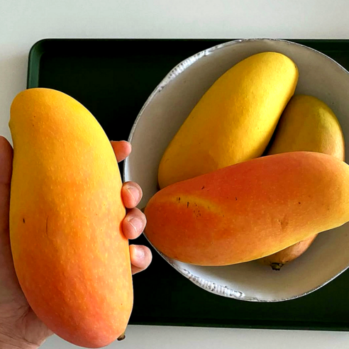 호텔 퀄리티 무지개 망고, 집에서 즐기는 특별한 달콤함