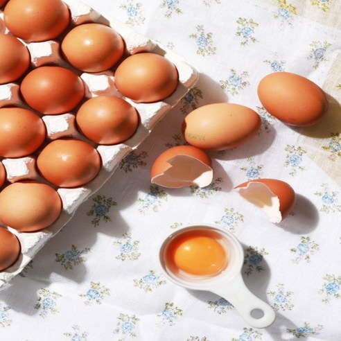 건강을 생각한다면, 난각번호 1번 무항생제 인증 방사 유정란