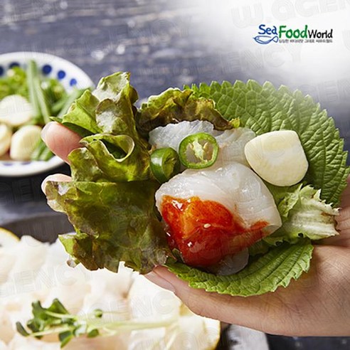 씨푸드월드 서천 자연산 광어회1kg(실중량300g내외)+매운탕거리, 1개