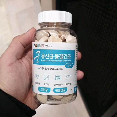 궁 반려동물 유산균 동결건조 영양제 70g, 참치, 1개