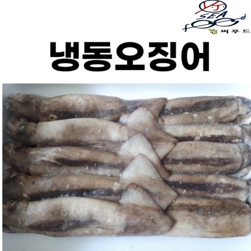 냉동오징어 1박스 3kg(10마리) 오징어베이트 업소용 도매