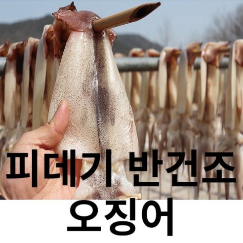 반건조오징어 피데기 통영 원양산 오동통통 반건조오징어 명품피데기, 1개, 1.2kg(10미)