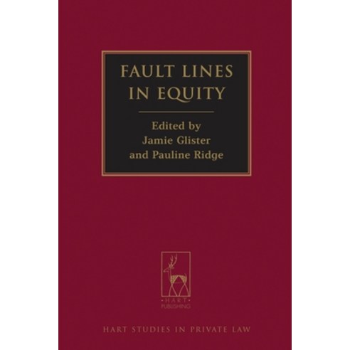 Fault Lines in Equity Hardcover, Bloomsbury Publishing PLC