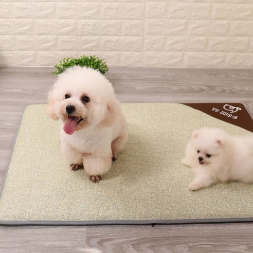 강아지 고양이 반려동물 사각매트 쿨방석 BF014Z, 베이지, -