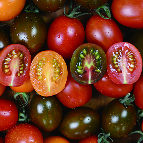 대추방울토마토 과일 방울 tomato, 빨간 대추방울토마토, 3개, 3kg