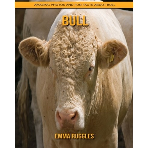 Bull: Amazing Photos and Fun Facts about Bull Paperback, Independently ...