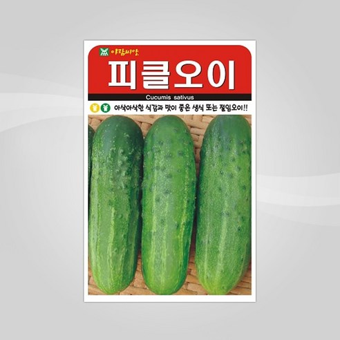 슬로시 슬로시 열매 씨앗 고추 토마토 콩 씨 종자, 피클오이50립(아람)