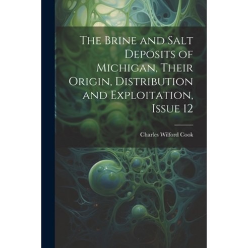(영문도서) The Brine and Salt Deposits of Michigan Their Origin Distribution and Exploitation Issue 12 Paperback, Legare Street Press, English, 9781022510289