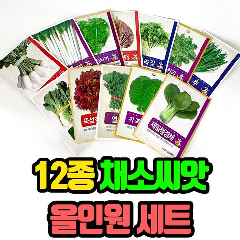 채소 씨앗 올인원 12종 세트, 1세트