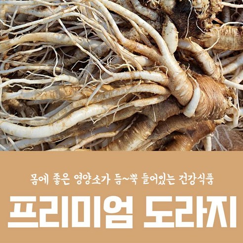 고씨네 나물도라지1kg 도라지 건도라지 백도라지 나물, 1개, 본상품선택