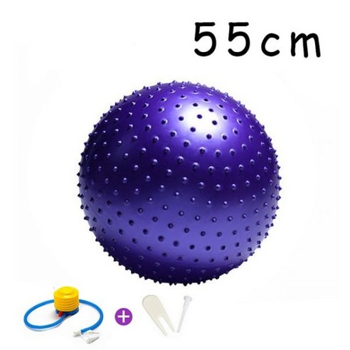 Dline 55cm/65cm/75cm/85cm 포인트 마사지 볼 펌프 고슴도치 피트니스 볼 피트볼 필라테스 균형 훈련 스포츠 헬스장 65 요가 공 25 요가 볼 요가 블럭, 55cm Purple