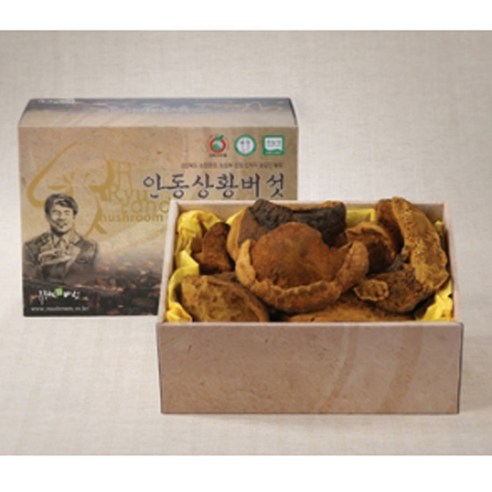 류충현 국내산 상황버섯 뽕나무상황버섯 목질진흙버섯 상품 300g