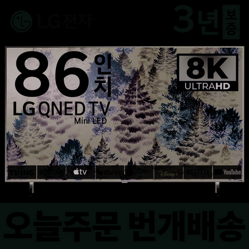 LG 86인치 TV QNED 8K UHD 스마트 TV 86QNED99 미러링 넷플릭스 유튜브, 5.지방권벽걸이(상하브라켓) 프리즘 tv