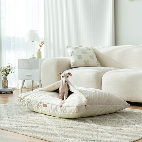 펫테일 컴피베드: 사랑스러운 반려견을 위한 안락한 숙소