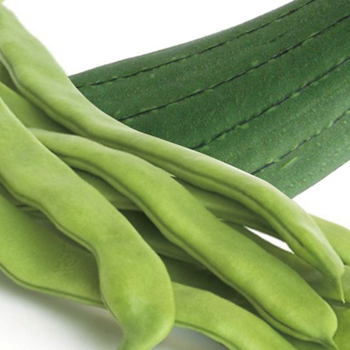 향긋한 구수함으로 건강을 더하는 늘해찬 작두콩수세미차!