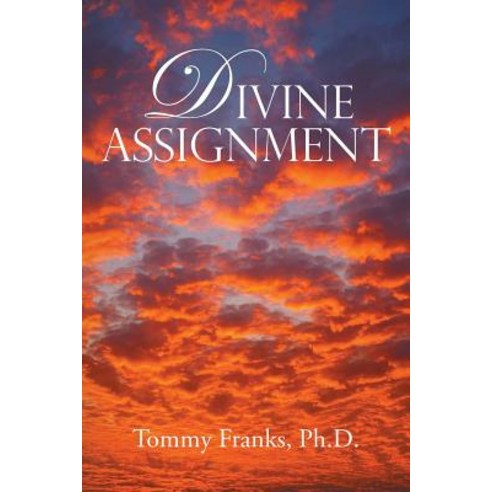 (영문도서) Divine Assignment Paperback, Xlibris Us, English, 9781796014990