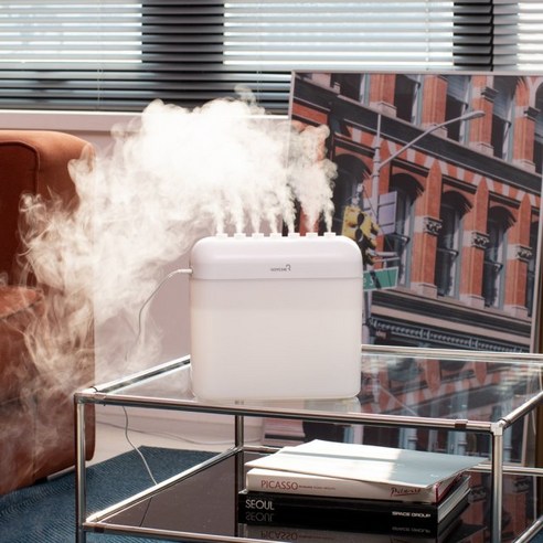 촉촉함과 아름다움을 선사하는 3L 대용량 벨라지오 분수 가습기