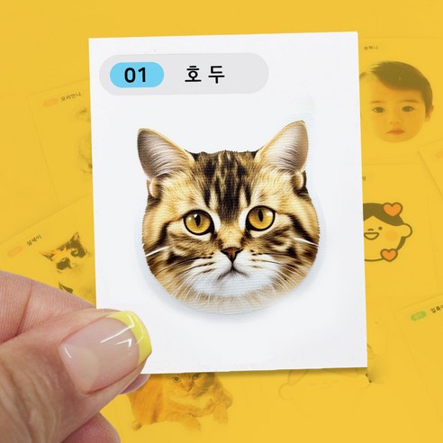 띠부 띠부씰 스티커, 나만의 특별한 굿즈로 완성하다 씰스티커제작