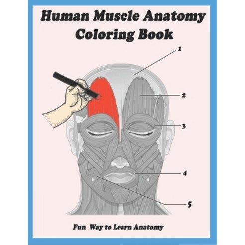 Human Muscle Anatomy Coloring Book: Fun Way to Learn Anatomy Muscles Human for Adults Teens Doctor... Paperback, Independently Published, English, 9798713516260