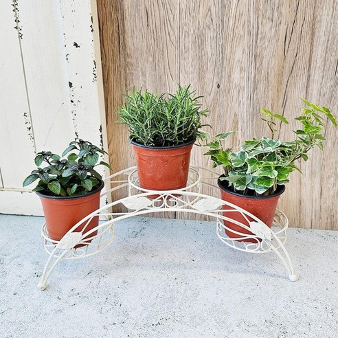 좁은 베란다, 숨 막히던 공간에 활력을 불어넣다: 철제 무지개 다리 화분 스탠드