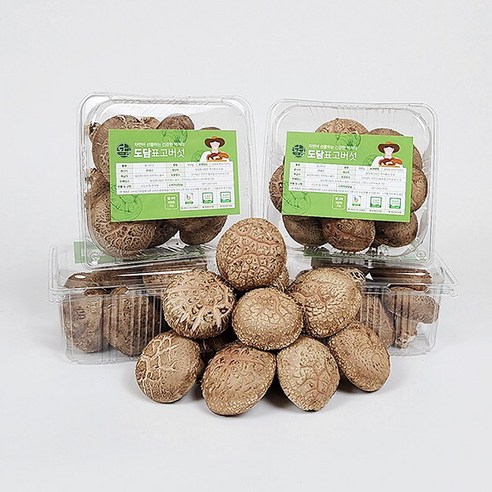 [도담] 표고버섯 노블레스 선물세트 1.2kg (상품), 1개 표고버섯선물세트