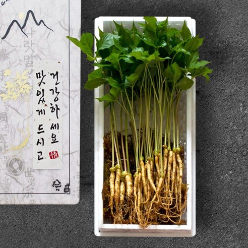 미호새싹 [맘스호미] 새싹인삼 실속 23뿌리 (개당 20cm 내외), 1개
