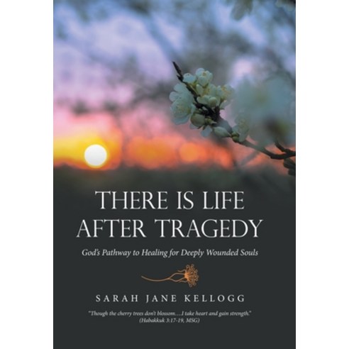 (영문도서) There Is Life After Tragedy: God''s Pathway to Healing for Deeply Wounded Souls Hardcover, WestBow Press, English, 9781664268104