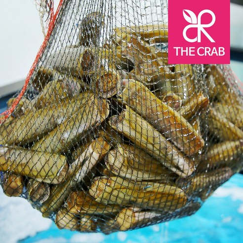 태안의 풍부한 풍미를 담은 신선한 조개류