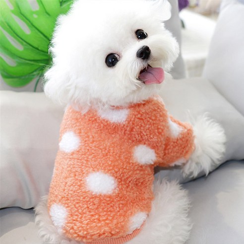 모모도퀸 뽀글이 도트무늬 강아지옷 올인원, 오렌지