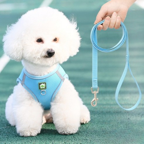 디아쿠아 강아지 고양이 겸용 바디 플러스 하네스+리드줄, 스카이블루