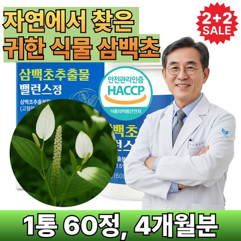삼백초 추출물 식약청인증 100% 국산 삼백초정 플라보노이드 4p