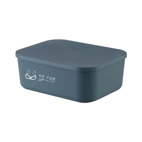 가정용 비닐 속옷 팬티 수납함 벨트 덮개 방진 옷장 칸막이 정리함 양말 수납함, 세레니티 블루-스페이스 바 속옷 수납함