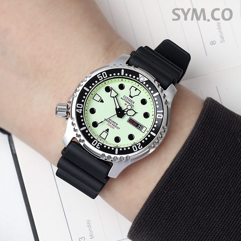 시티즌 에코드라이브 캐쥬얼 프로마스터 다이버 방수 우레탄 시계