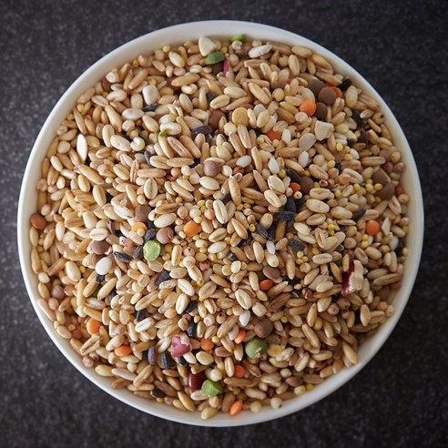 혼합잡곡 17곡 슈퍼푸드 귀리+렌틸콩 혼합, 5kg, 2개