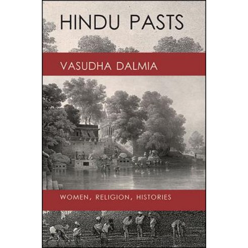Hindu Pasts Paperback, State University of New Yor..., English, 9781438468068