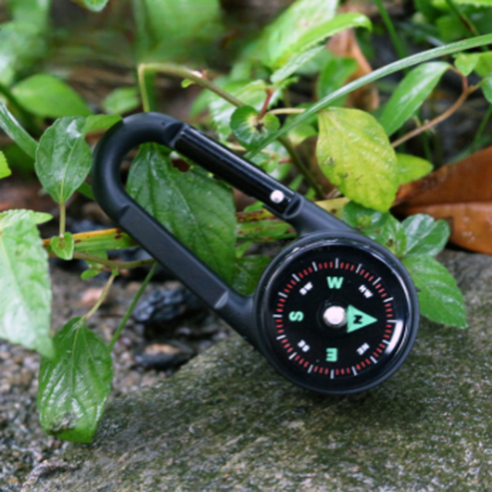 모험가의 길을 밝히는 작은 동반자