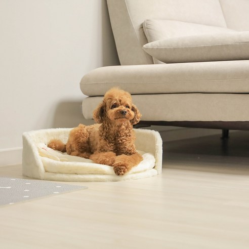 엄마품 고양이 쇼파 강아지 침대: 애완동물의 안락함과 편안함을 위한 최고의 선택