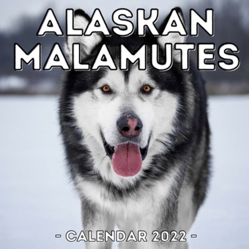 (영문도서) Alaskan Malamutes Calendar 2022: 16-Month Calendar Cute Gift ...