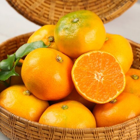 [유명산지] 제주 하우스 감귤 2kg 3kg 5kg, 1박스, 제주 하우스 감귤 3kg (중대귤)