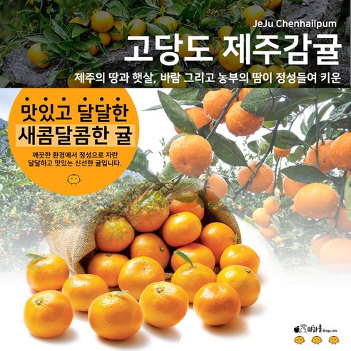 야과몰 국내산 제주 감귤 달콤하고 신선한 귤 소 5kg