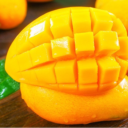 태양을 머금은 달콤한 유혹, 골드 망고로 행복을 맛보세요.