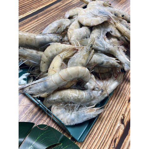 청정 해역에서 갓 잡아온 탱글한 흰다리새우