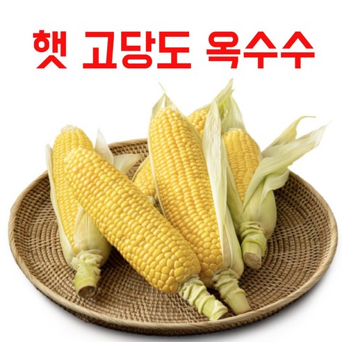 산지직송 햇 초당옥수수 손질 고당도 특품 당도보장, 5개